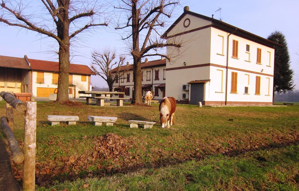 Bed And Breakfast Azienda Agricola Cascina Salazzara Magenta Zewnętrze zdjęcie