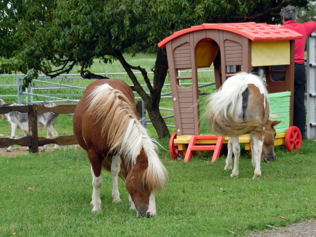 Bed And Breakfast Azienda Agricola Cascina Salazzara Magenta Zewnętrze zdjęcie