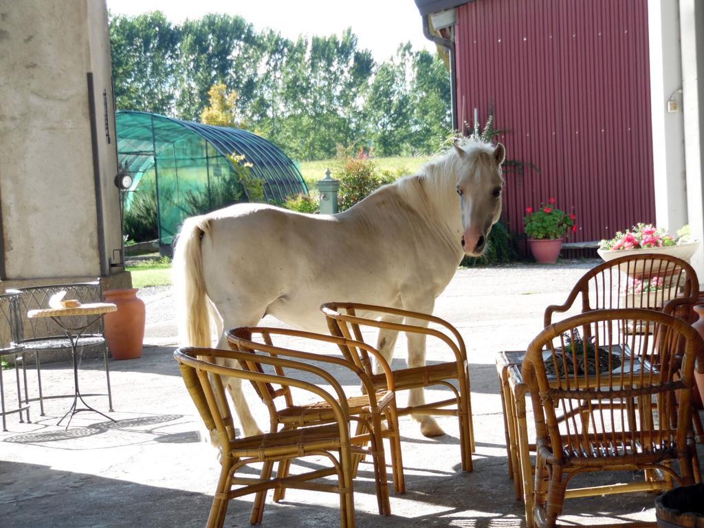Bed And Breakfast Azienda Agricola Cascina Salazzara Magenta Zewnętrze zdjęcie